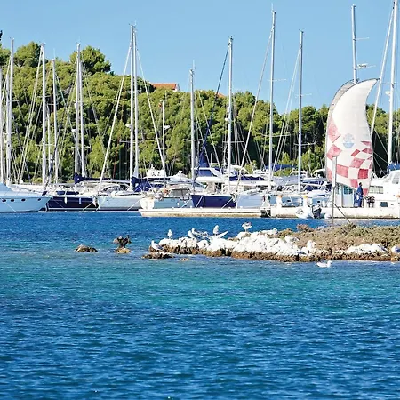 1 Bedroom Lovely In Apartamento *